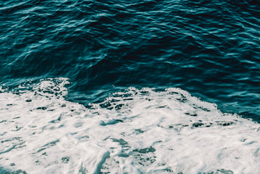 ocean tumblr