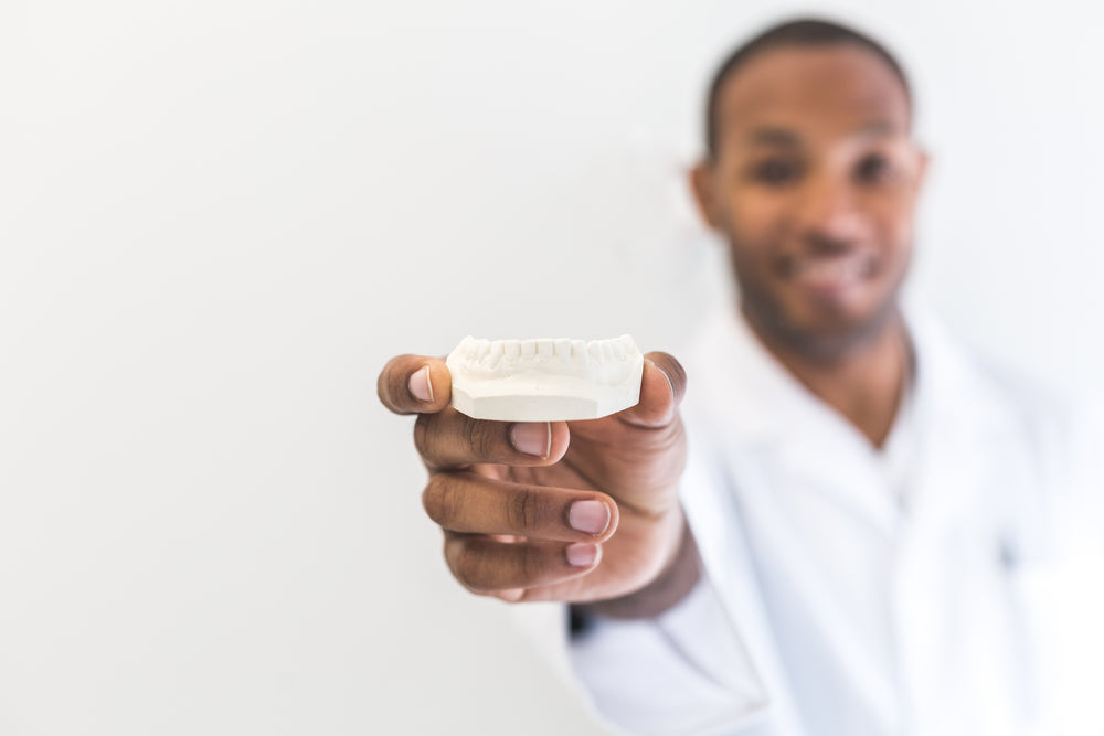 dentist holding dental model