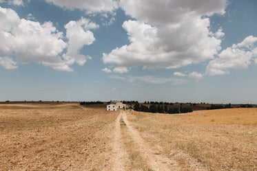 deserted farm housing in baren lands