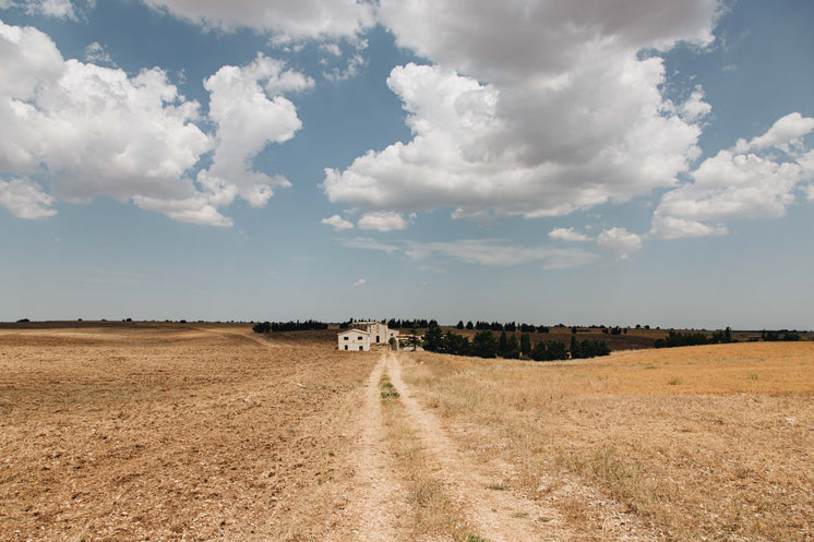 Deserted Farm Housing In Baren Lands