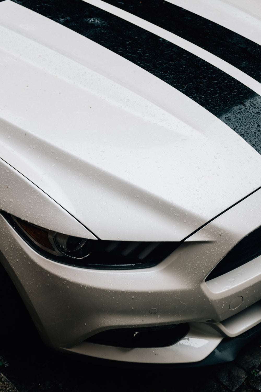 detail of vehicles headlights