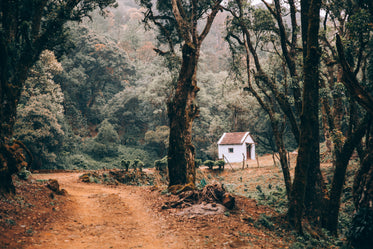 dirt road to a small white cabin