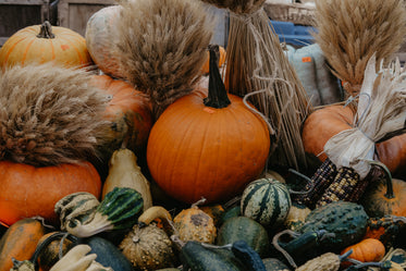 display of autumn colors with pumpkins and corn