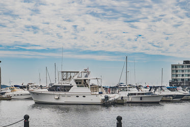 docked yachts