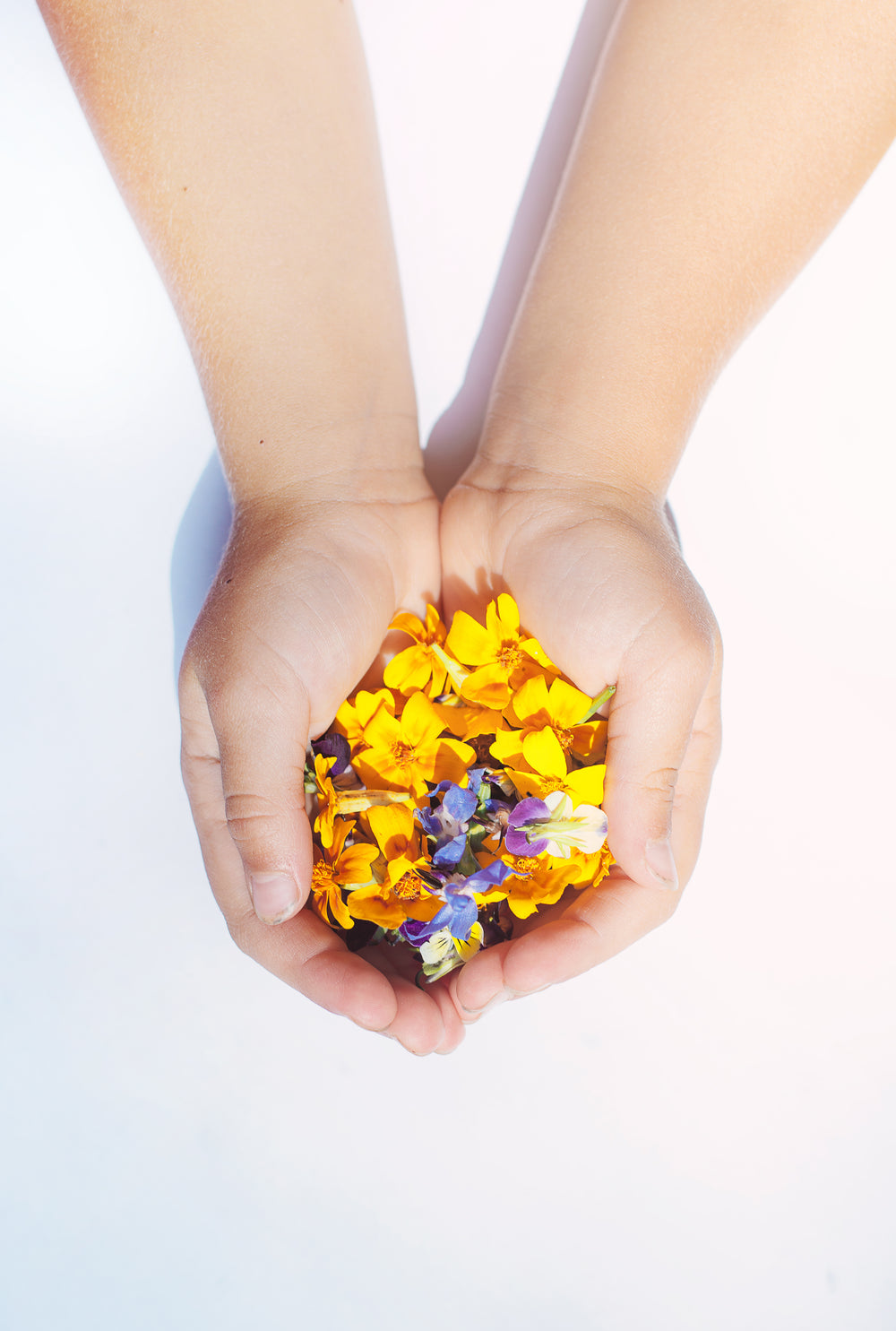 downward hands hold out flower petals