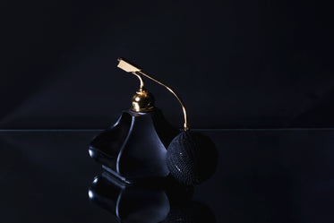 dramatic black glass perfume