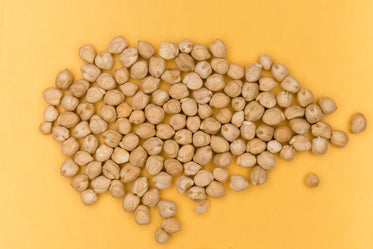 dried chick peas on yellow background