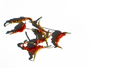 dried hot peppers on a white background