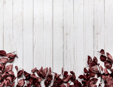 dried leaves frame bottom on wood background