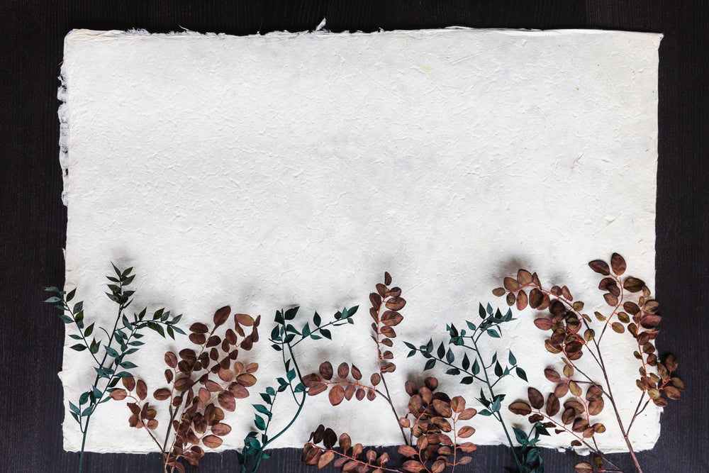 dried leaves on branches and paper background