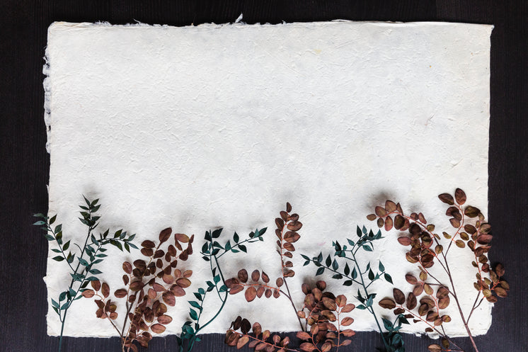 dried-leaves-on-branches-and-paper-background.jpg?width=746&format=pjpg&exif=0&iptc=0