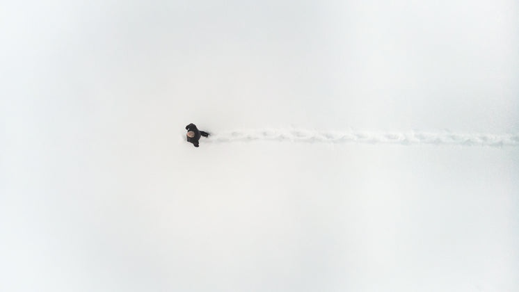 Drone Shot Lost In Snow