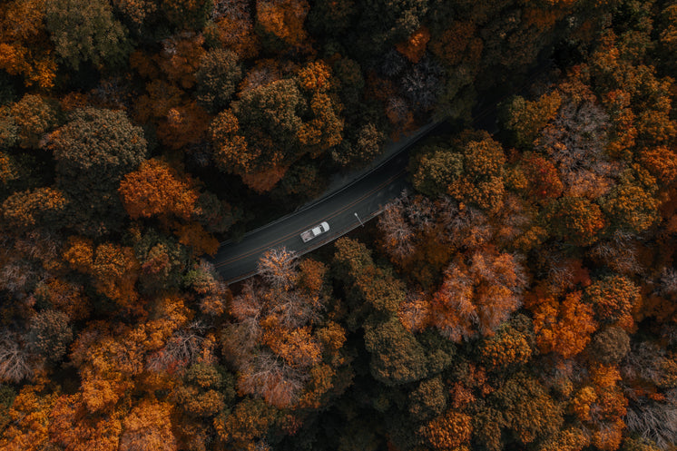 Drone View Of Car Driving Through Forest