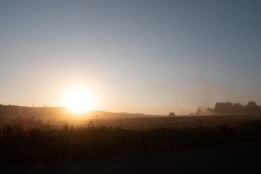 dusty planes at sunset