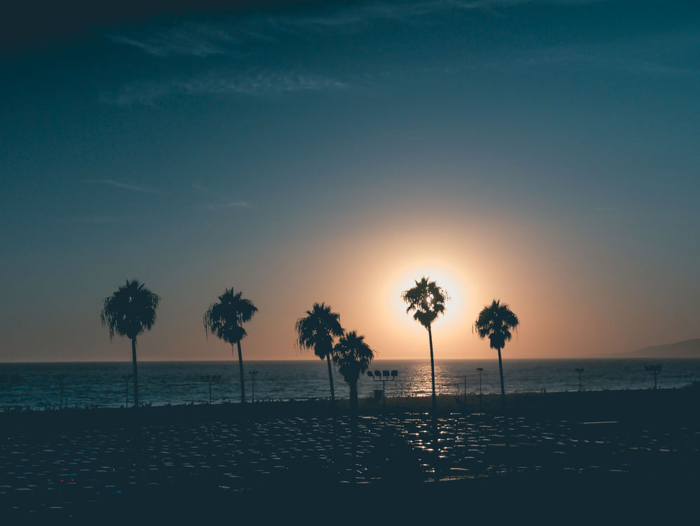 dusty sky with palm sihouettes on beach at sunset