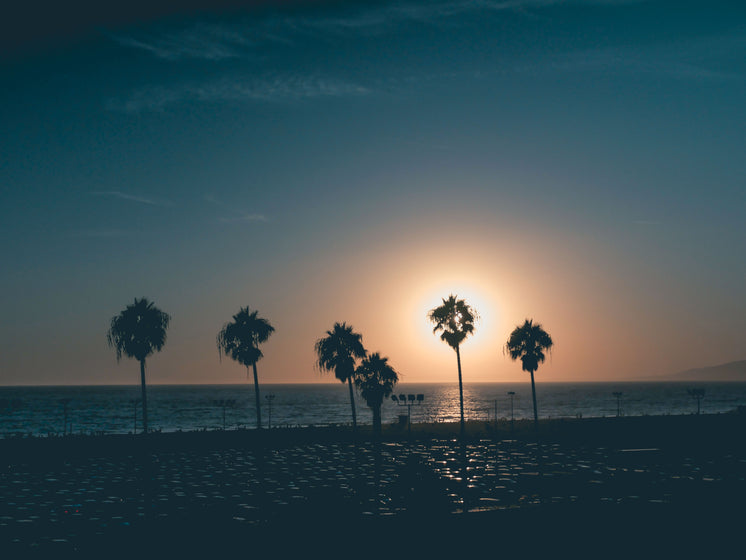 Dusty Sky With Palm Sihouettes On Beach At Sunset