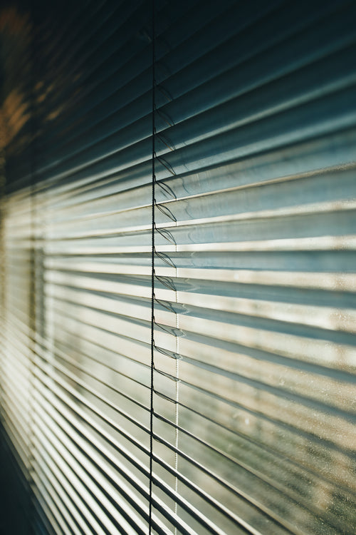 dusty windows and blinds