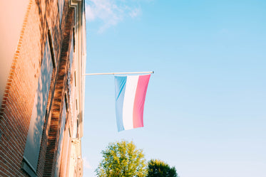 dutch flag flies