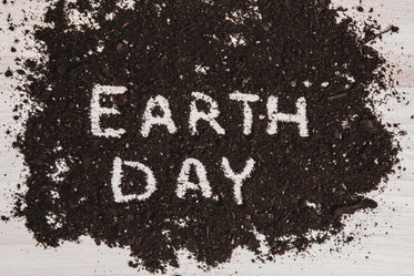 earth day written in dirt