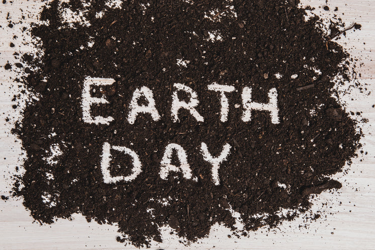 Earth Day Written In Dirt