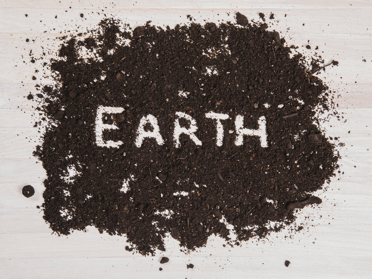 earth-written-in-dirt.jpg?width=746&form