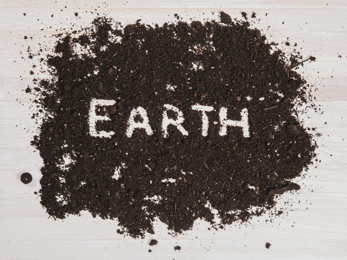 earth written in dirt