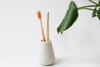 eco-friendly toothbrushes in holder