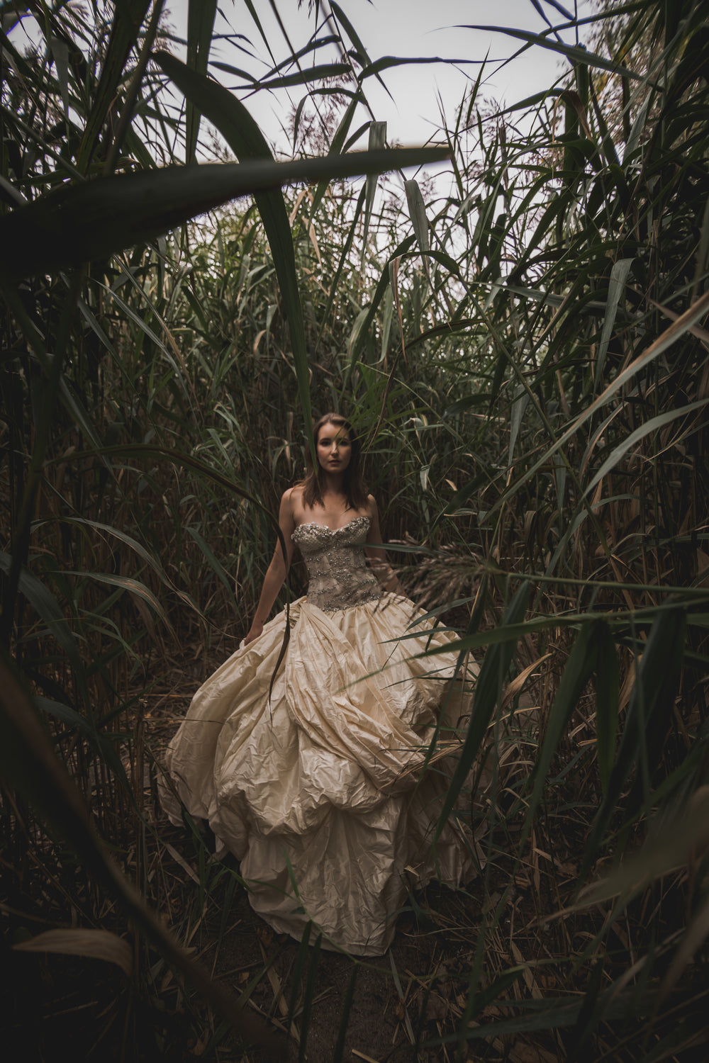 elegant woman surrounded by tall grass