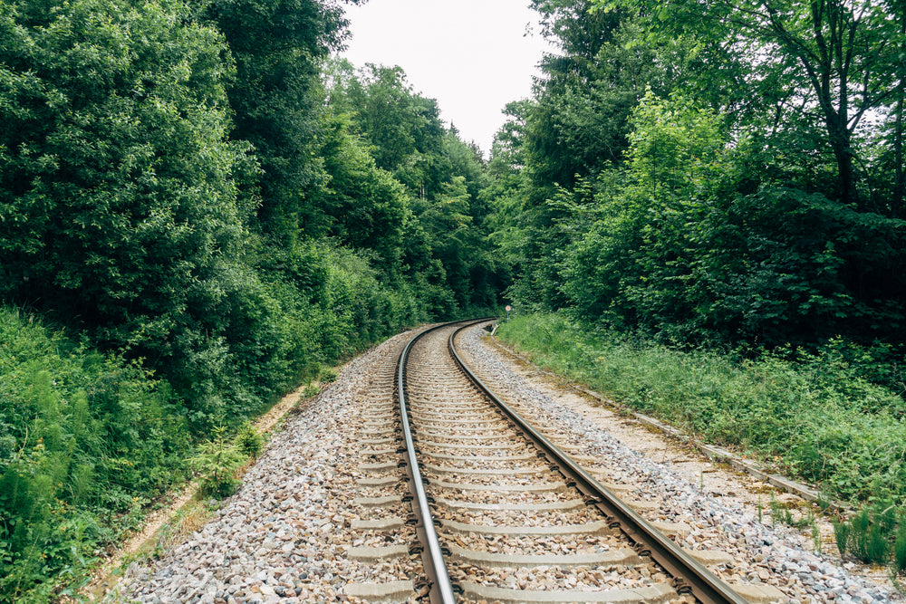 empty rail track surrounded by trees