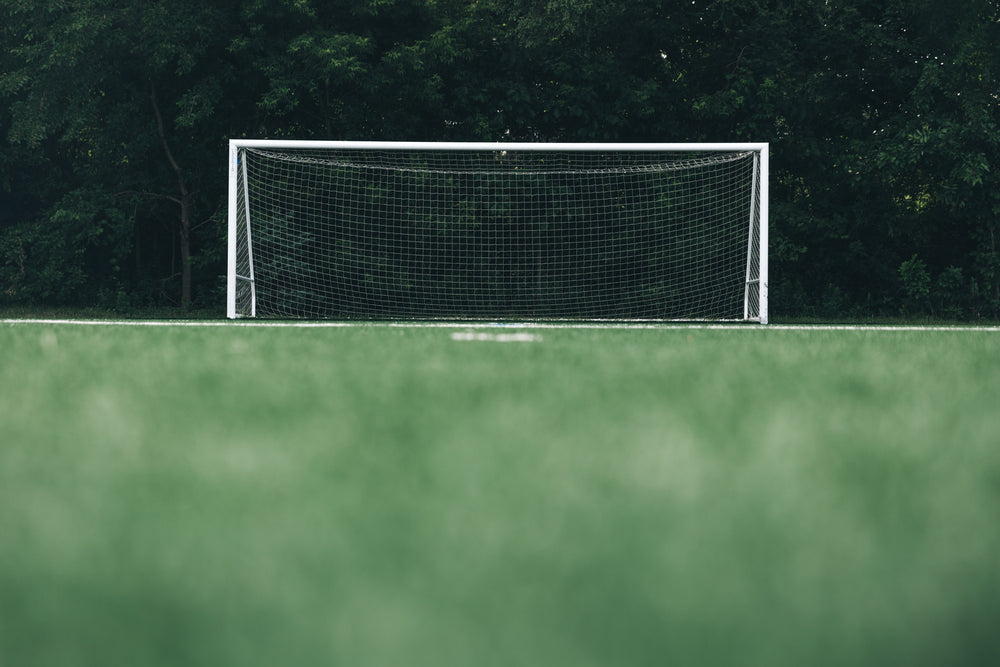 empty soccer net in front of forest low angle