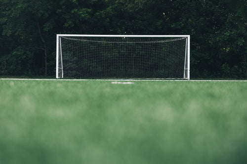 empty soccer net in front of forest low angle