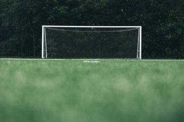 empty soccer net in front of forest low angle