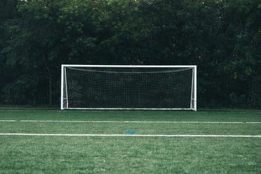 rede de futebol vazia em frente à floresta