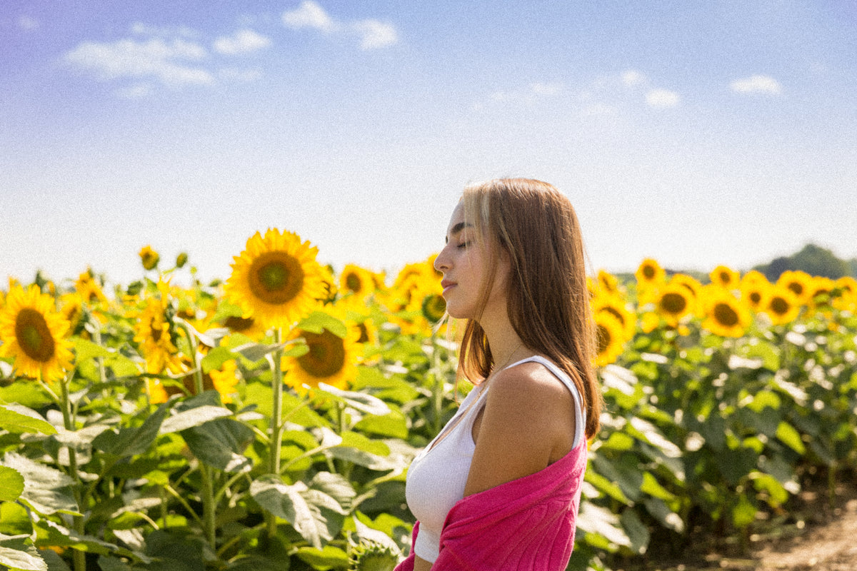 enjoying the sunlight in a sunflower field