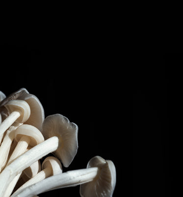 enoki mushroom tops