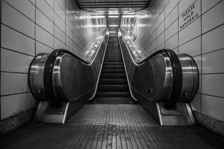 escalator.jpg?width=746&format=pjpg&exif