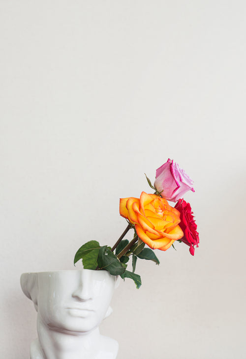 face vase and roses