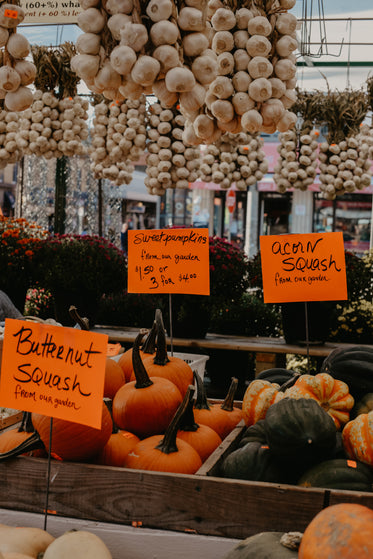 fall harvest vegetable market