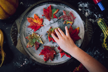 fall leaf cookies in the kitchen