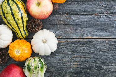 Free Stock Photo of Fall Season Flatlay — HD Images