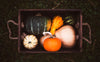 fall vegetable box
