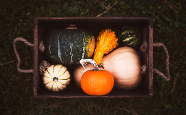 Free Fall Vegetable Box Image: Browse 1000s of Pics