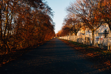 fall walk on gravel road