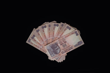 fanned out rupees currency