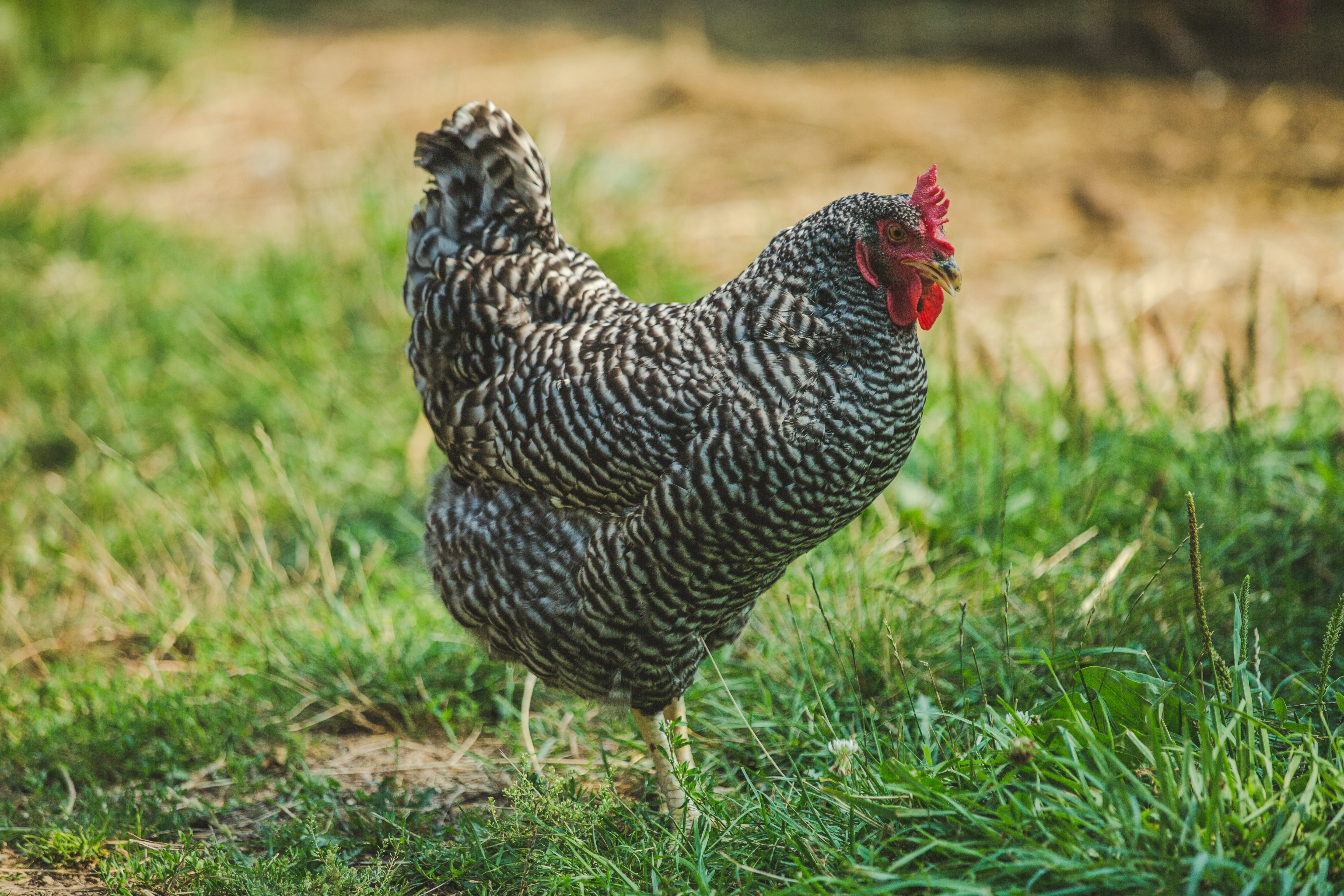 What Causes Eczema \u2013 These 5 Agents Will Eliminate Eczema ...