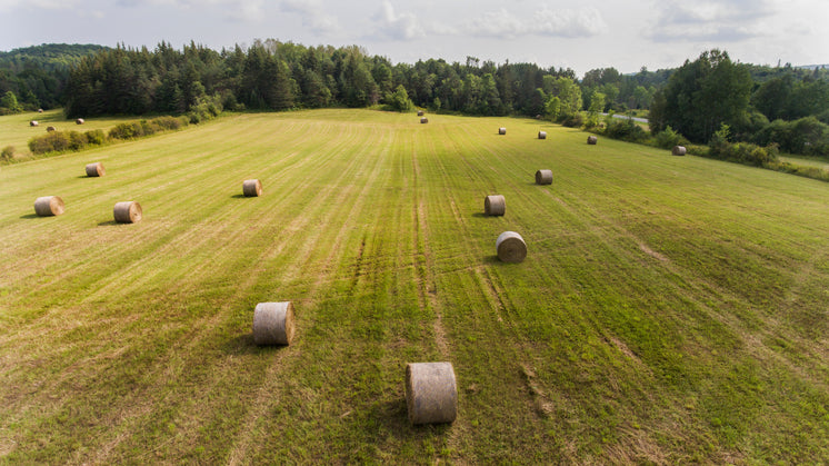 Farm Land & Hay Bails