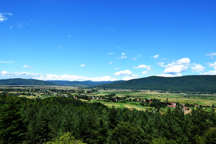 農(nóng)田綠地坡地景觀