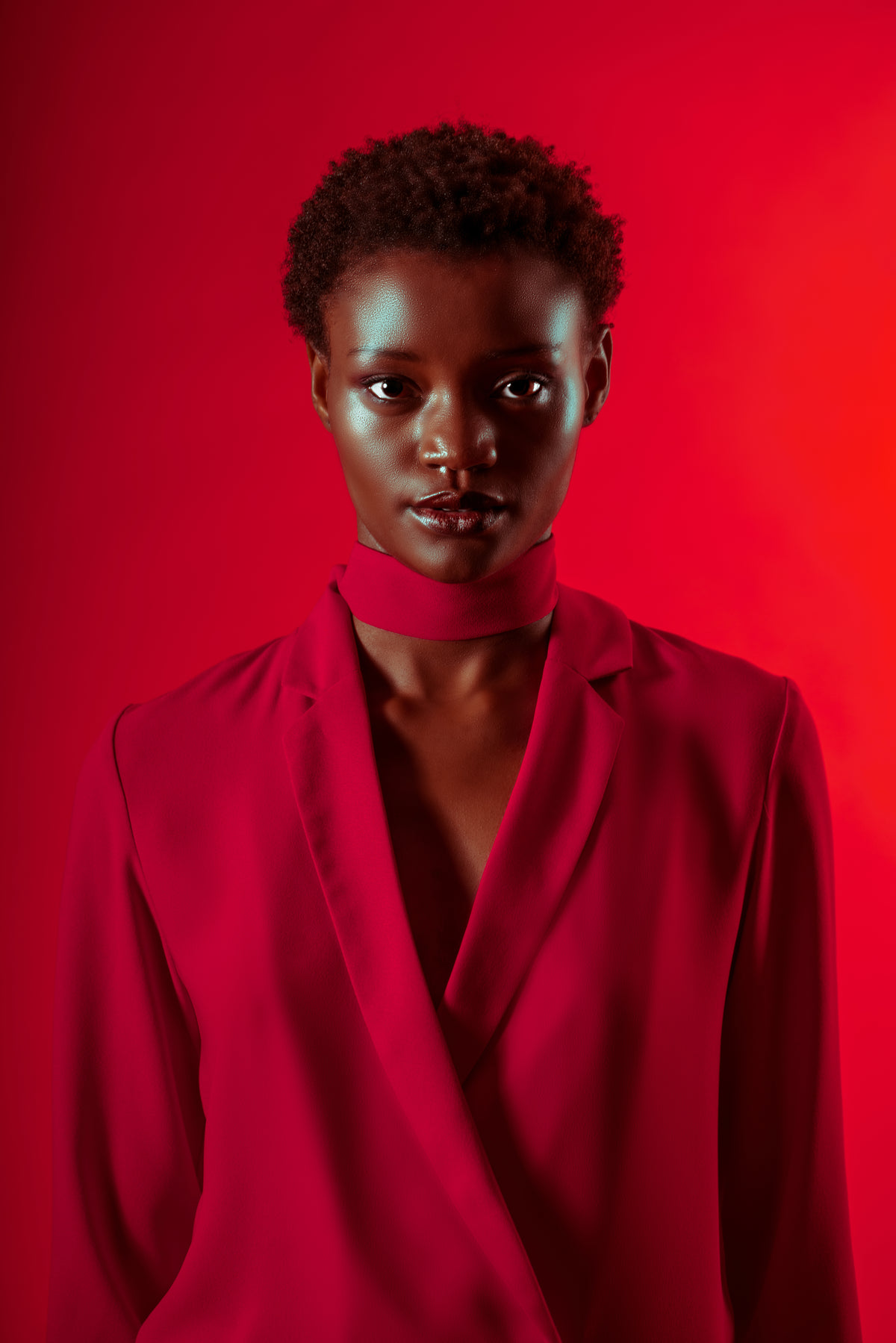 Fashion Model Portrait Fashion Model Portrait