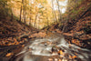 fast-flowing river through fall forest