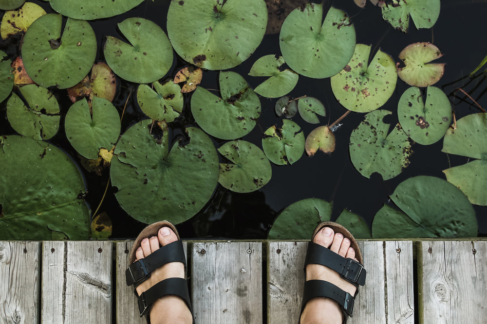 feet on dock above lily pads